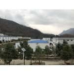 Lactobacillus Buchneri Powder Manufacturer - Probiotics Premium Quality