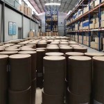 Shatavari Powder Factory - Asparagus Racemosus 10:1 Extract