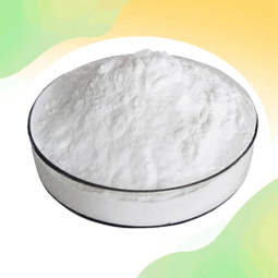 Lactobacillus Buchneri Powder Manufacturer - Probiotics Premium Quality