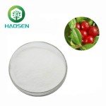 Alpha-Arbutin Powder Supplier - Cosmetic Grade Skin Whitening OEM