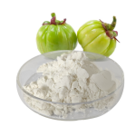 Garcinia Cambogia Powder Manufacturer - 95% HCA Fruit Extract Bulk