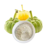 Garcinia Cambogia Powder Manufacturer - 95% HCA Fruit Extract Bulk