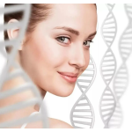 Undecylenoyl Phenylalanine Powder Supplier - Sepiwhite Daily Chemical