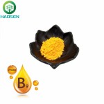 Folic Acid Powder Supplier - Vitamin B9 Food Grade Healthcare