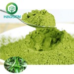 Matcha Powder Supplier - 100% Organic Green Tea Extract Bulk
