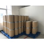 Lactococcus Lactis Powder Manufacturer - Probiotics Supplement Quality