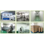 Tara Gum Powder Factory - Pure Thickener Powder Bulk