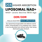 NAD+ Capsules Manufacturer - 1000mg Energy DNA Repair Antioxidant