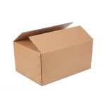 Ajuga Turkestanica Powder Factory - 2% 10% Turkesterone Natural Extract