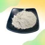 Streptococcus Salivarius Powder Manufacturer - Probiotics Food Additive