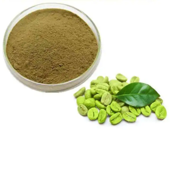 Green Coffee Bean Powder Supplier - Pure Natural Extract Wholesale