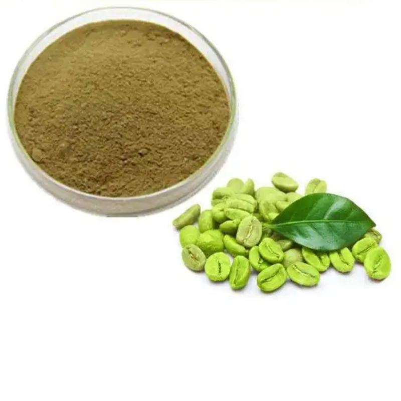 Green Coffee Bean Powder Supplier - Pure Natural Extract Wholesale