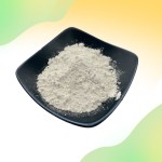 Rennet Casein Powder Manufacturer - Food Additive Natural Quality