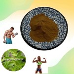Fadogia Agrestis Powder Factory - Natural Male Extract Bulk
