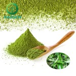 Matcha Powder Supplier - 100% Organic Green Tea Extract Bulk
