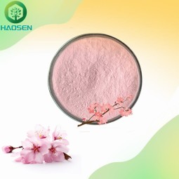 Cherry Blossom Powder Manufacturer - 10:1 Whitening Sakura Extract