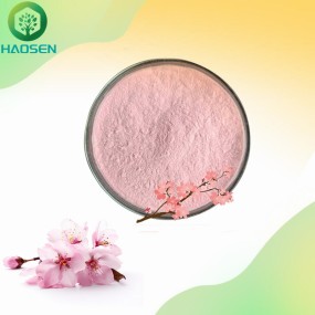 Cherry Blossom Powder Manufacturer - 10:1 Whitening Sakura Extract
