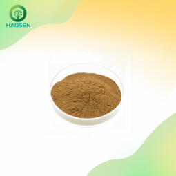 Shatavari Powder Factory - Asparagus Racemosus 10:1 Extract