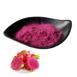 Dragon Fruit Powder Supplier - Water Soluble Red Pink Pitaya Extract