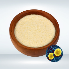 Staphylococcus Carnosus Powder Supplier - Quality Bacterial Culture