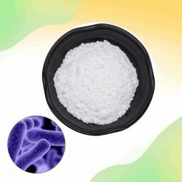 Bifidobacterium Adolescens Powder Factory - Food Additive Factorial Quality