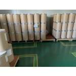 Rennet Casein Powder Manufacturer - Food Additive Natural Quality