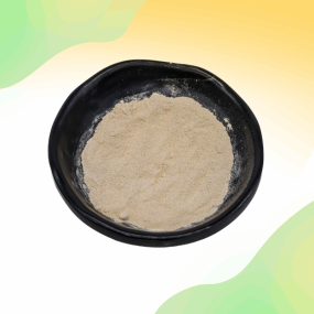 Bacillus Laterosporus Powder Supplier - Feed Grade 500 Billion CFU/g