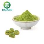 Matcha Powder Supplier - 100% Organic Green Tea Extract Bulk