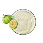 Garcinia Cambogia Powder Manufacturer - 95% HCA Fruit Extract Bulk