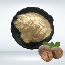 Monk Fruit Extract Factory - Mogroside V Sweetener Organic