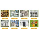 Bifidobacterium Adolescens Powder Factory - Food Additive Factorial Quality