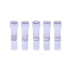 Methyl Green Supplier - OEM DNA-Specific Histology Stain