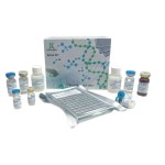 Sodium Acetate Factory - OEM pH5.2 DNA Precipitation