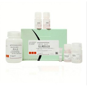 Plasmid DNA Kit Manufacturer - OEM Magnetic Bead Mini Prep