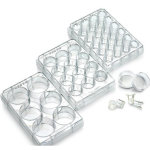 Transwell Plate Manufacturer - OEM Cell Migration Assay