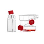 Culture Flask Factory - OEM 25-175cm² Vent Cap