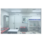 Angiotensin I ELISA Kit Manufacturer - OEM 96-Well Custom Chemical Service