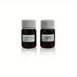 ECL Chemiluminescence Kit Supplier - OEM Femtogram Western Blot