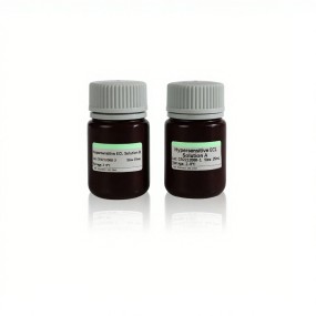 ECL Chemiluminescence Kit Supplier - OEM Femtogram Western Blot