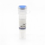 SUMO Protease Factory - OEM SUMO Fusion Protein Purification