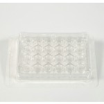 24-Well Plate Factory - OEM PS Sterile Ready-to-Use