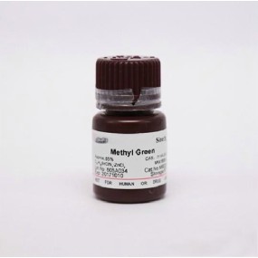 Methyl Green Supplier - OEM DNA-Specific Histology Stain