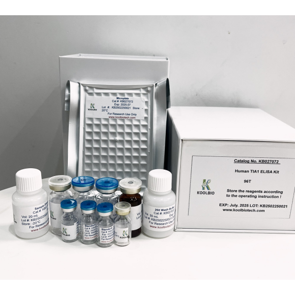 PYY ELISA Kit Supplier - OEM Peptide YY Hormone Detection