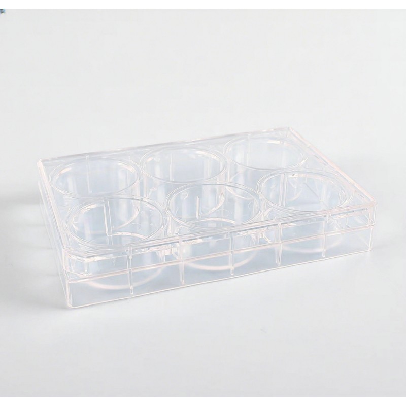 6-Well Plate Supplier - OEM TC-Treated Cell Culture