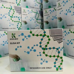 Galectin-4 ELISA Kit Supplier - OEM 96-Well Gastrointestinal Disease Research