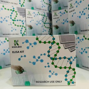 Galectin-4 ELISA Kit Supplier - OEM 96-Well Gastrointestinal Disease Research