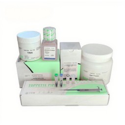 Prestained Protein Marker Manufacturer - OEM 10-250KDa Western Blot