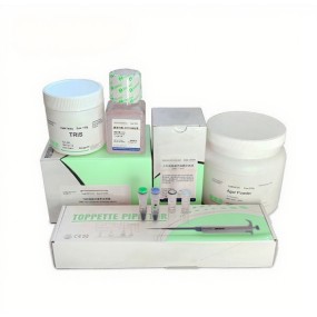 Prestained Protein Marker Manufacturer - OEM 10-250KDa Western Blot