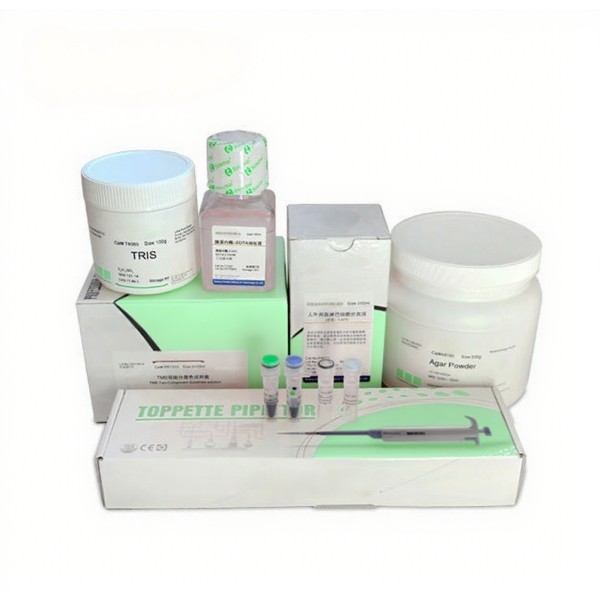 Prestained Protein Marker Manufacturer - OEM 10-250KDa Western Blot