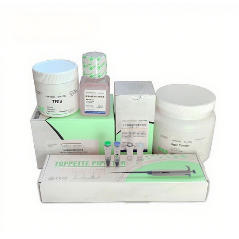 Prestained Protein Marker Manufacturer - OEM 10-250KDa Western Blot